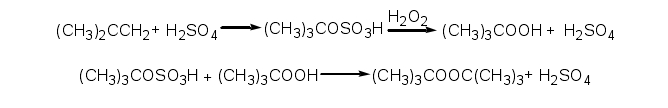 叔丁醇（TBA）异丁烯双氧水法制备方法